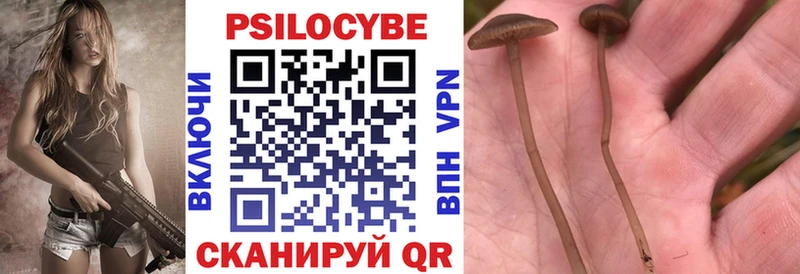 Галлюциногенные грибы мицелий  как найти закладки  Курлово 