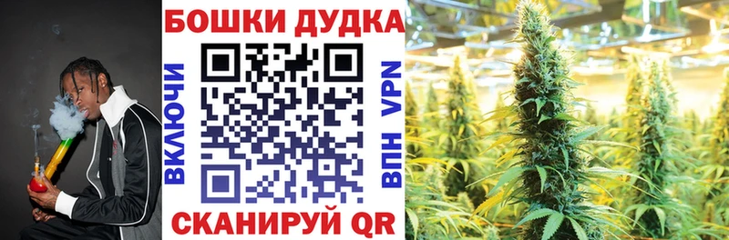 Канабис White Widow  где найти наркотики  даркнет формула  Курлово 